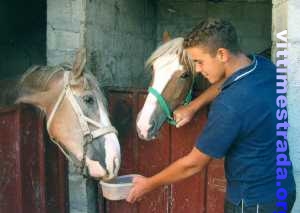 Nicola_Russo Nicola_Russo