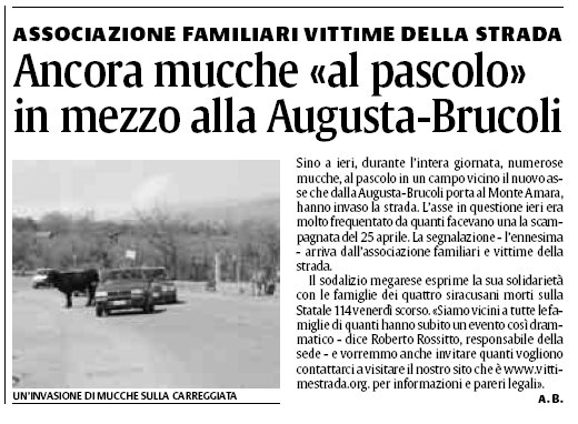 Animali-strada.jpg Animali-strada.jpg