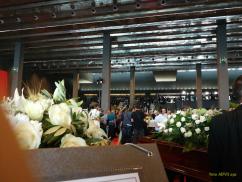 Crollo ponte Morandi gallery